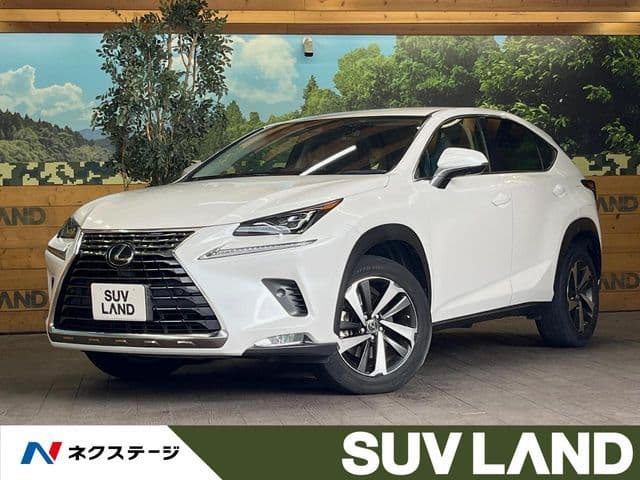 TOYOTA LEXUS NX300