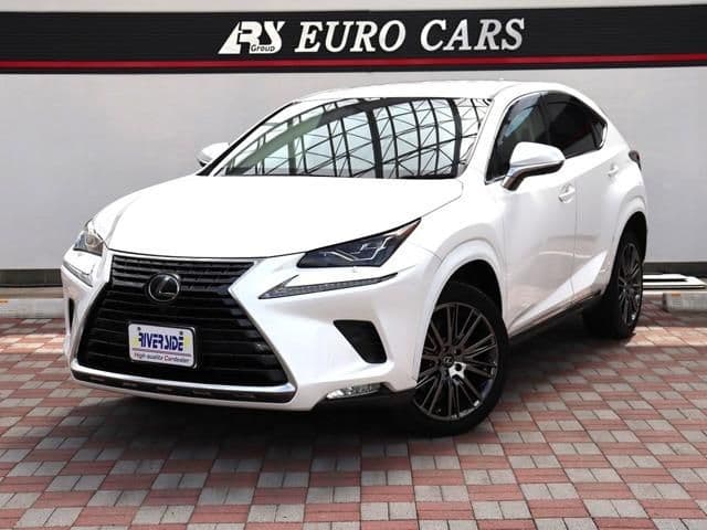 TOYOTA LEXUS NX300