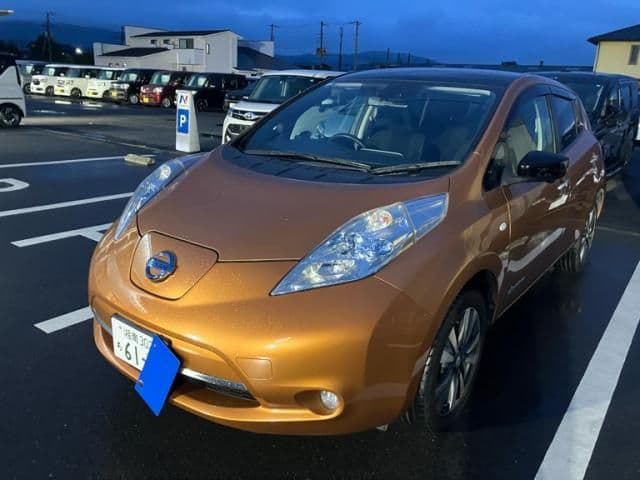 NISSAN LEAF