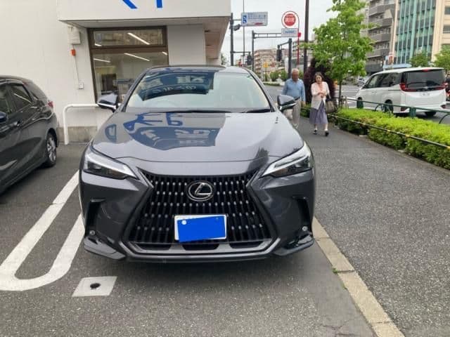 TOYOTA LEXUS NX250