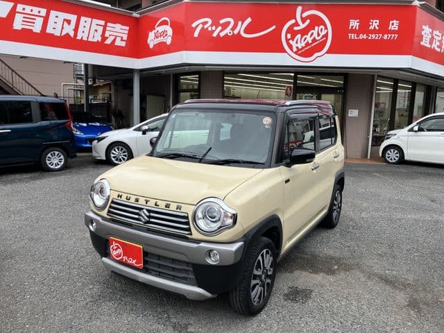 SUZUKI HUSTLER
