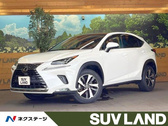 TOYOTA LEXUS NX300