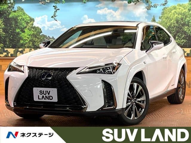 TOYOTA LEXUS UX250h