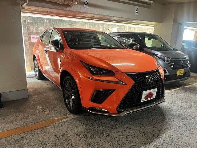 TOYOTA LEXUS NX300