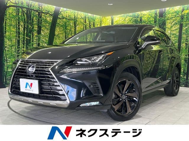 TOYOTA LEXUS NX300h AWD