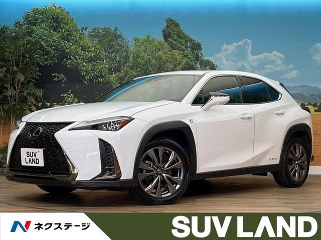 TOYOTA LEXUS UX250h AWD