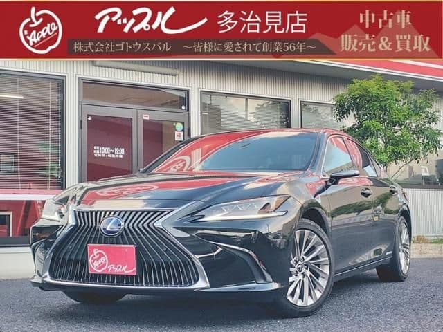 TOYOTA LEXUS ES300h