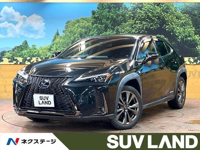 TOYOTA LEXUS UX250h