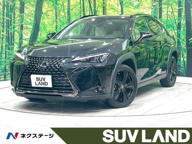 TOYOTA LEXUS UX250h