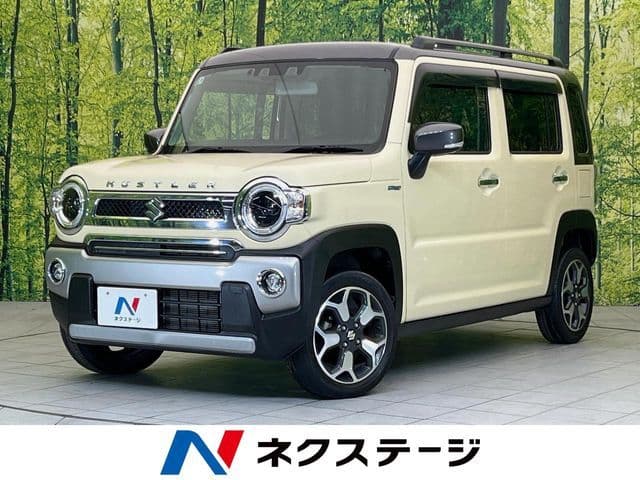 SUZUKI HUSTLER