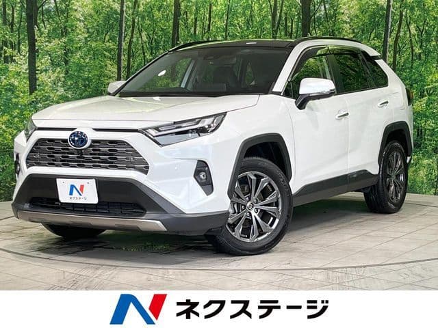 TOYOTA RAV4 HYBRID 4WD