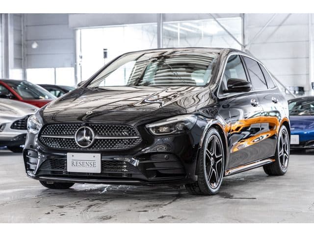 MERCEDES BENZ MERCEDES BENZ B class
