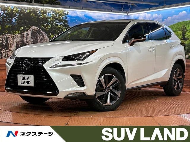 TOYOTA LEXUS NX300