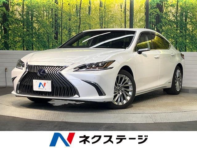 TOYOTA LEXUS ES300h