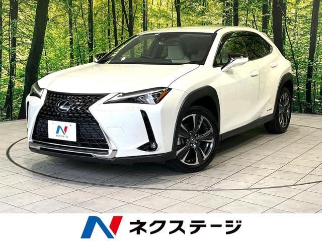 TOYOTA LEXUS UX250h