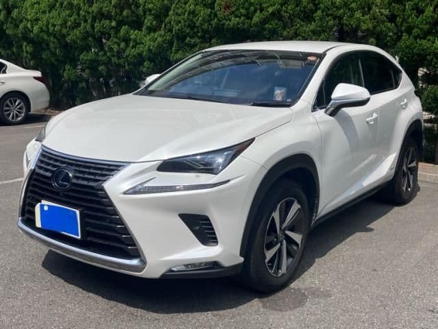 TOYOTA LEXUS NX300h