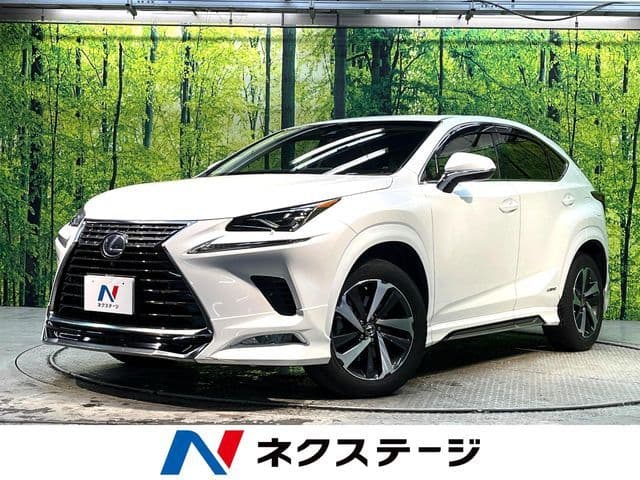 TOYOTA LEXUS NX300h