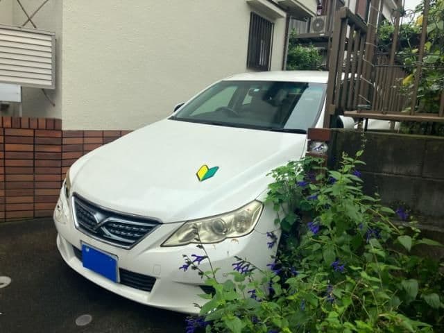 TOYOTA MARK X