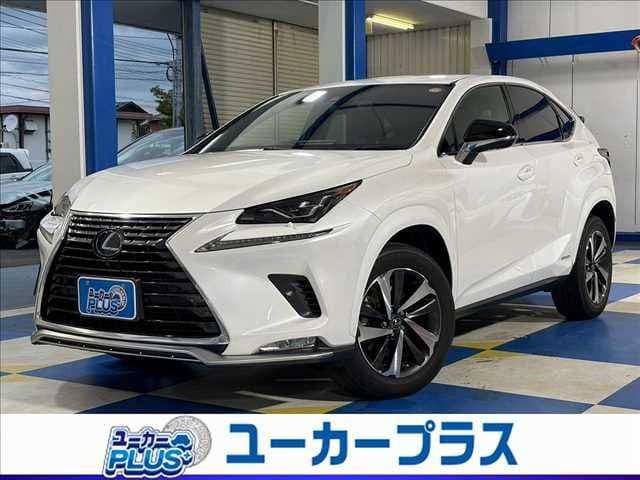 TOYOTA LEXUS NX300h