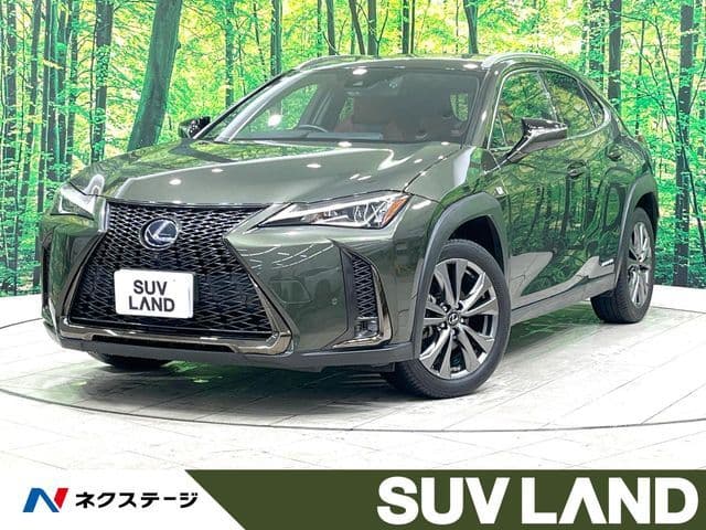 TOYOTA LEXUS UX250h