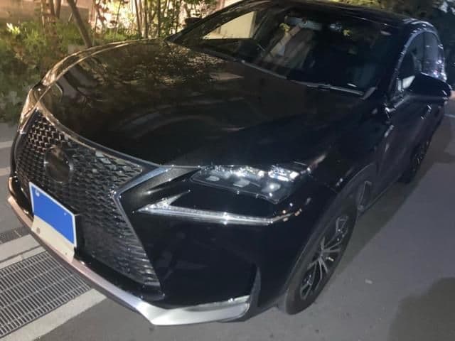 TOYOTA LEXUS NX300h
