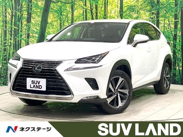 TOYOTA LEXUS NX300