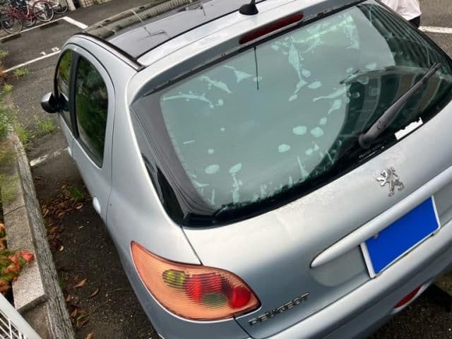 Car thumbnail 3