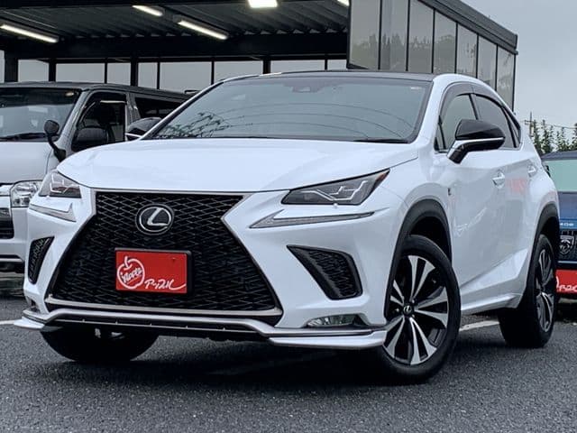 TOYOTA LEXUS NX300