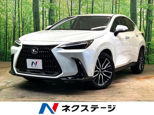 TOYOTA LEXUS NX350h AWD