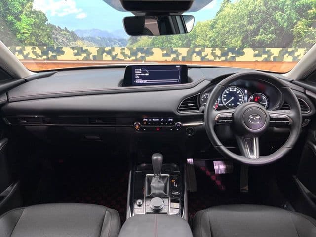 Car thumbnail 2