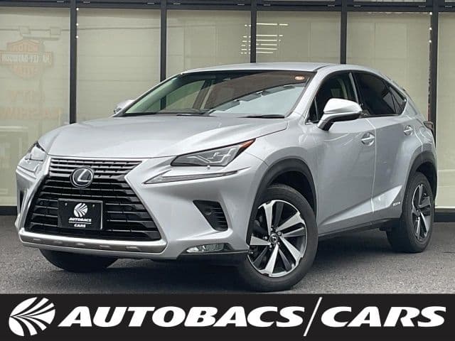 TOYOTA LEXUS NX300h
