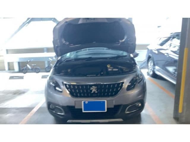 PEUGEOT PEUGEOT 2008