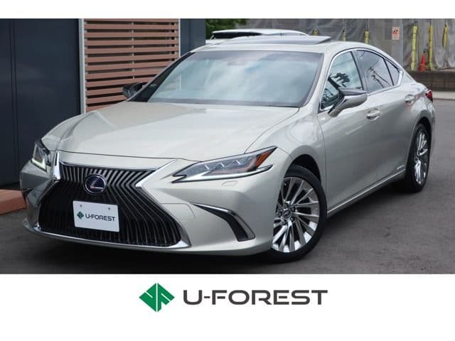 TOYOTA LEXUS ES300h