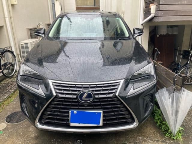TOYOTA LEXUS NX300h