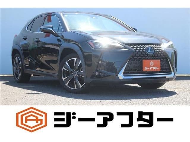 TOYOTA LEXUS UX250h