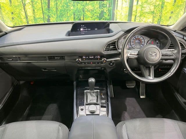 Car thumbnail 2