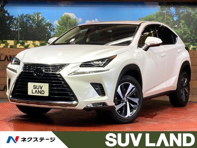 TOYOTA LEXUS NX300