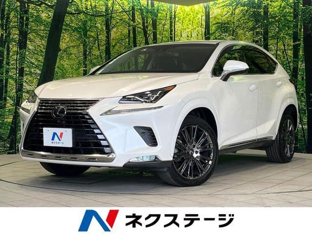 TOYOTA LEXUS NX300