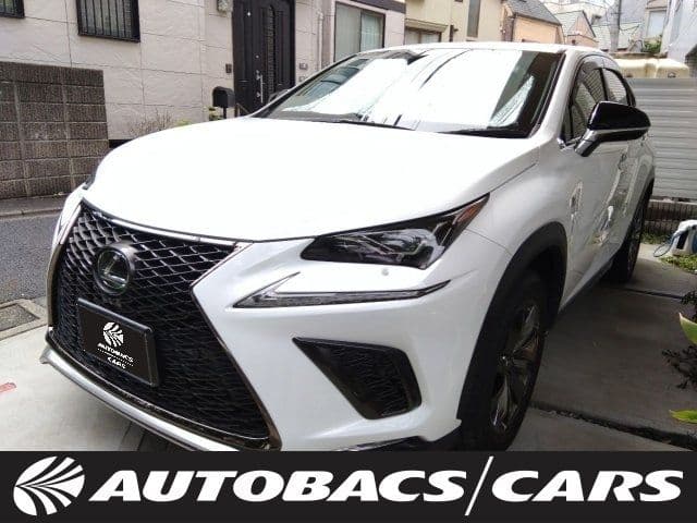 TOYOTA LEXUS NX300