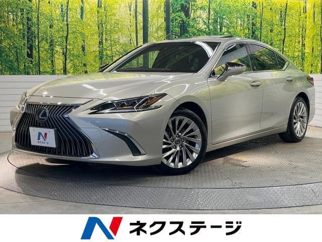 TOYOTA LEXUS ES300h