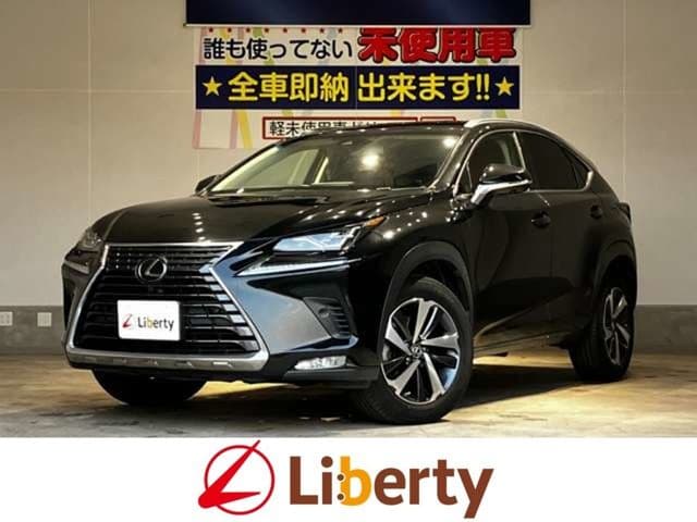 TOYOTA LEXUS NX300