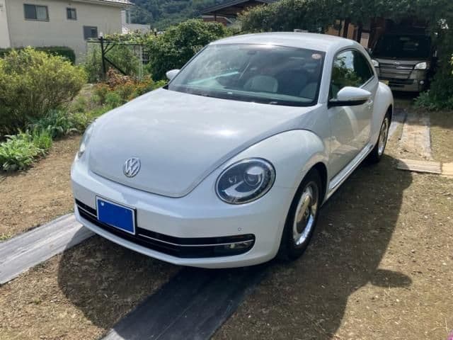 VOLKSWAGEN VOLKSWAGEN The BEETLE